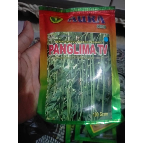 bibit kacang panjang PANGLIMA TV 100 GR