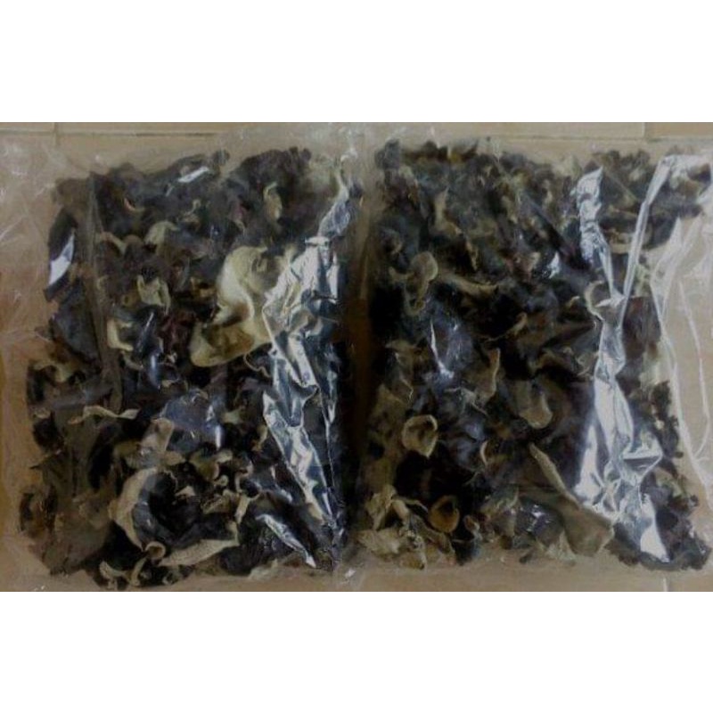 

JAMUR KUPING KERING/JAMUR KUPING/JAMUR KERING