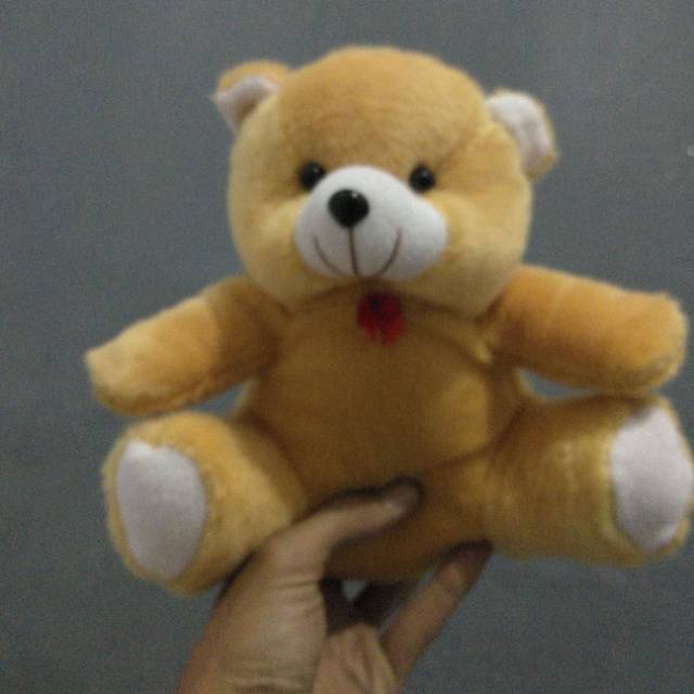 25cm teddy bear