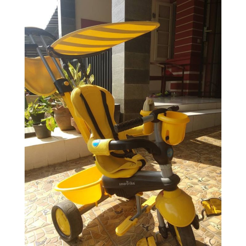 SmarTrike Zoo Bee