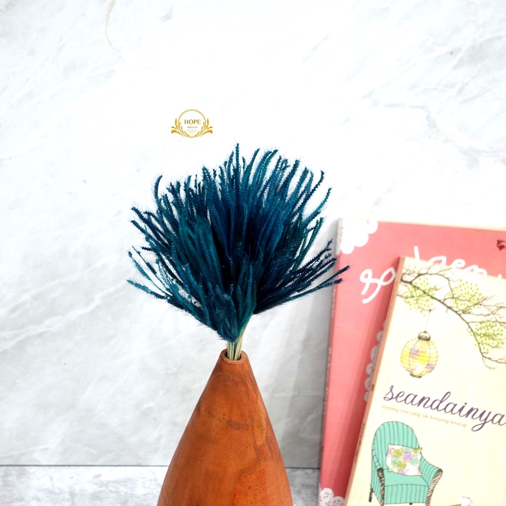 Bunga Kering Medusa Grass / Bunga Cynodon Dekorasi Hiasan Rumah Hantaran Buket