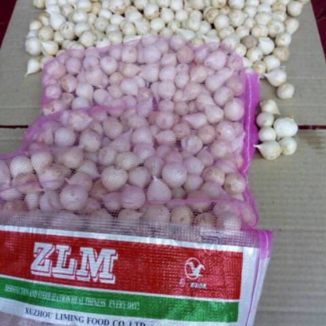 

Bawang putih tunggal fress 500 gram