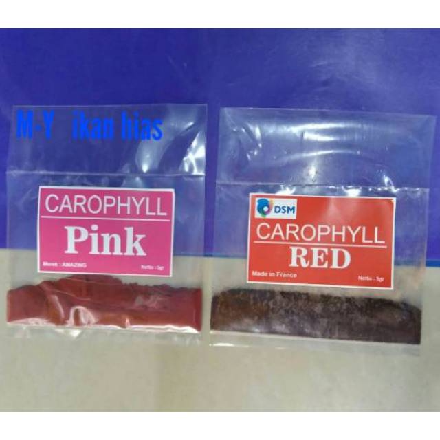 

Paket carophyl pink 5gr & carophyl red