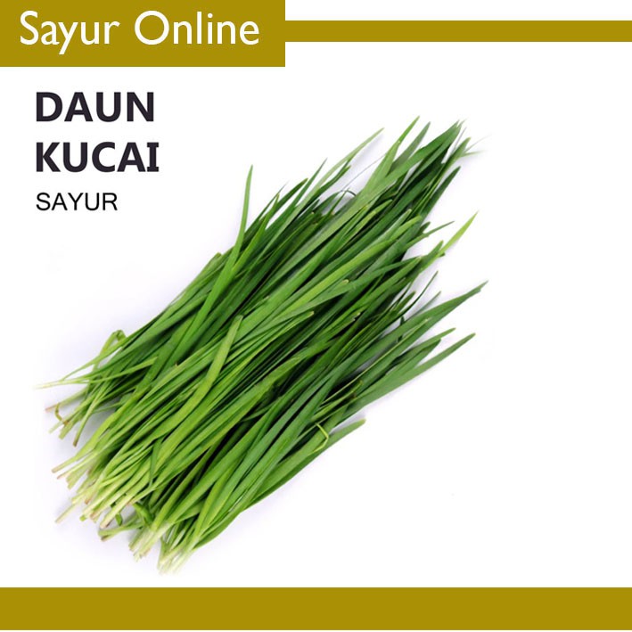 

[SayurOnline] DAUN KUCAI SEGAR - SAYUR [1 Ikat]