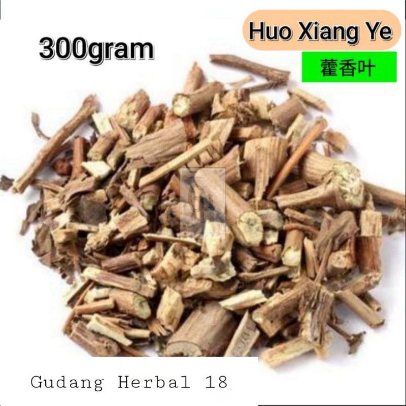 [300gram]  Huo Xiang / Fu Xiang Ye  -  Herba Agastaches Rugosus