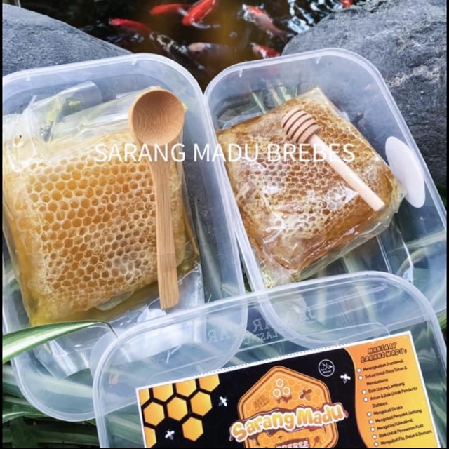 

SARANG MADU