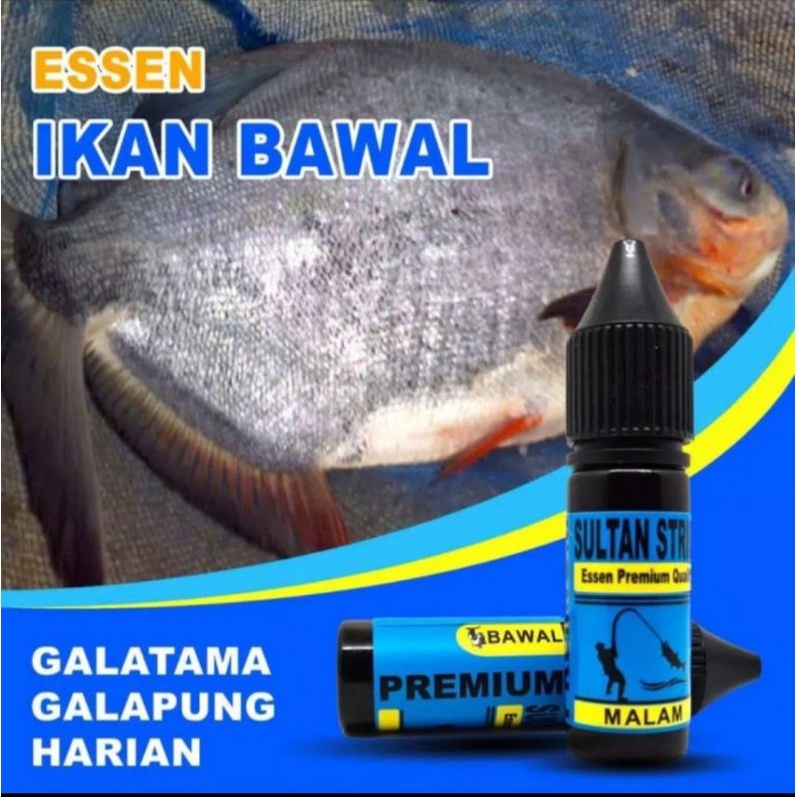 Strike Sultan Essen Premium Khusus bawal jagoan Galatama/pung, harian