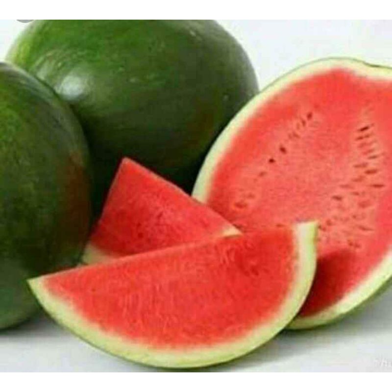 

SEMANGKA Merah 1BULAT