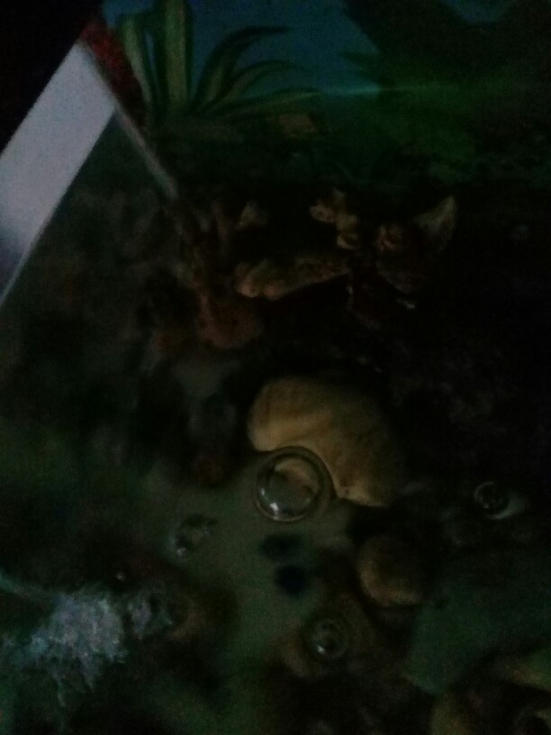 Holder Botol Minum Sepeda Bahan Aluminium