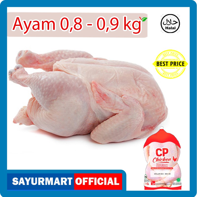 

Ayam Frozen Utuh - Ayam Potong Karkas Broiler 0.8-0.9 Kg