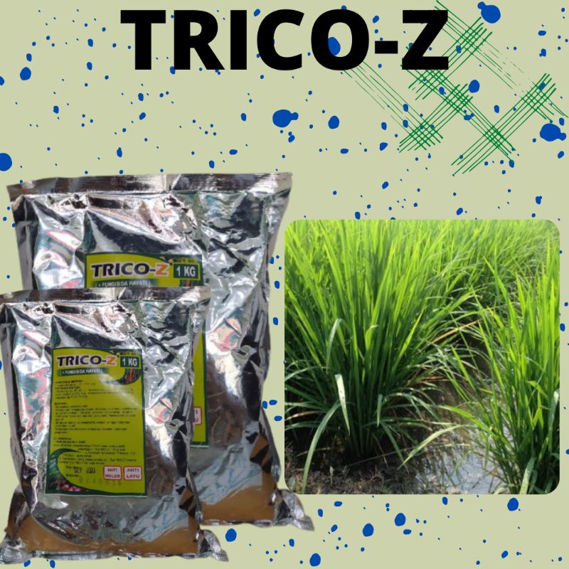 Obat Fungisida Organik Atasi Layu Fusarium, Trichoderma Trico Z Fungisida Untuk Padi Bunting
