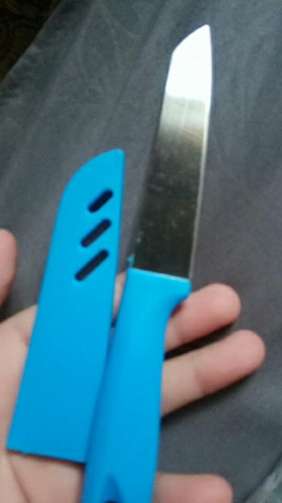 Pisau Dapur - Pisau Untuk Kupas Sayur Dan Buah Stainless Steel - Hg