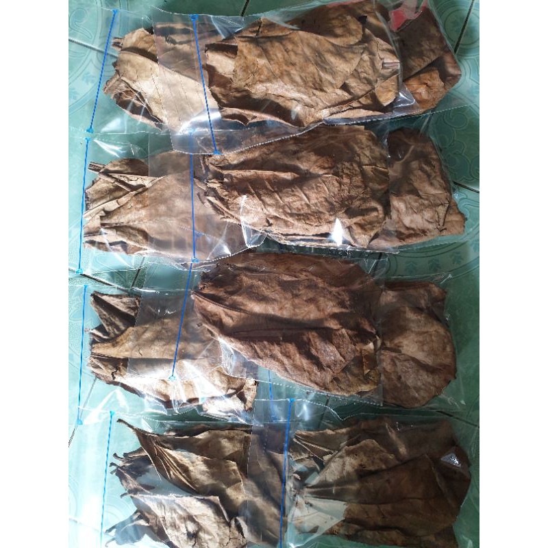 

Daun Ketapang crunchy (Siap pakai) /Daun ketapang cupang/ Guphy