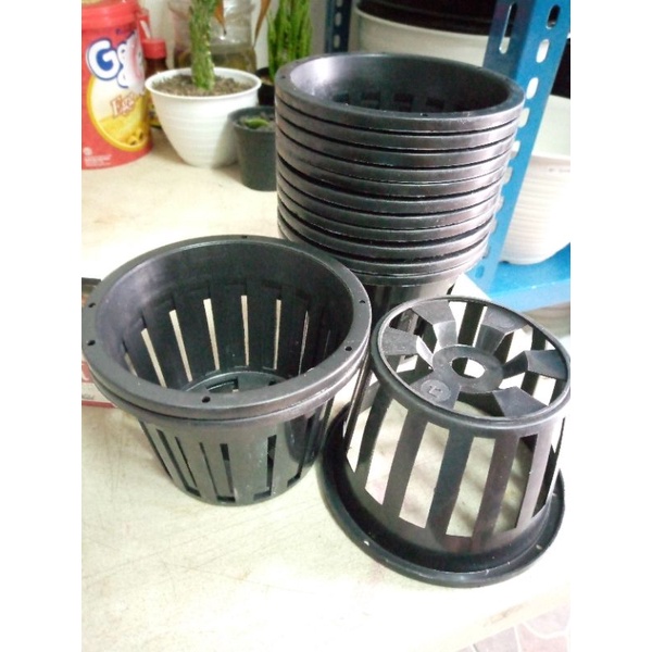 POT ANGGREK 12CM POT BUNGA ORCHID 12cm MURAH