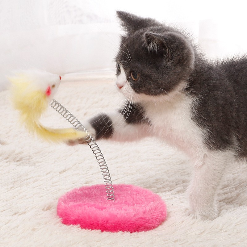 Tiang Spring Mantul Tikus Bulu Untuk Kucing Dan Anjing