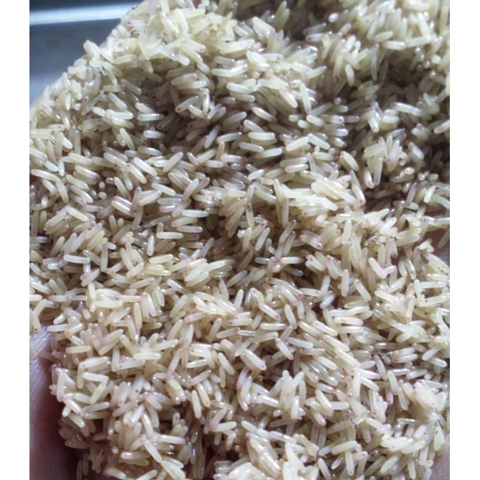 

telor jangkrik alam kemasan 1kg