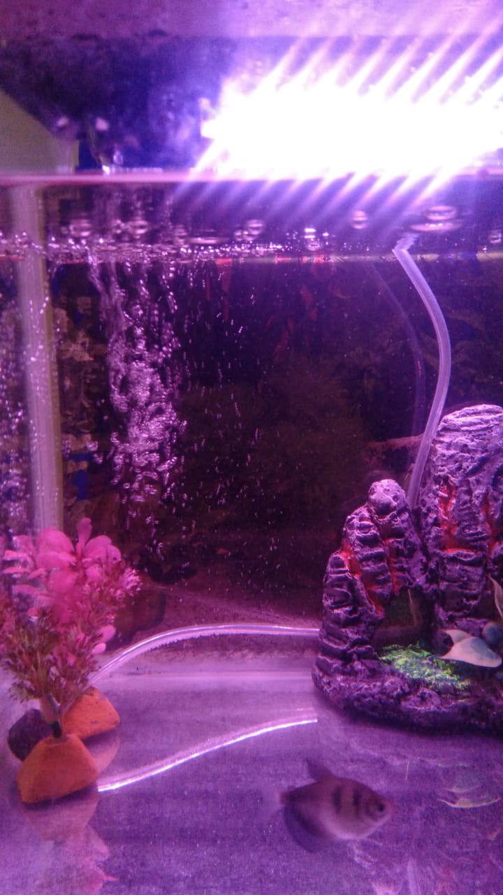 Kain Batik Soft Pelangi- Kain Batik Pekalongan- Kain Batik Katun- Kain Batik Pastel- Kain Batik