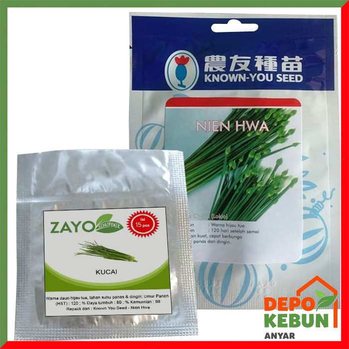 BENIH KUCAI / BIBIT KUCAI