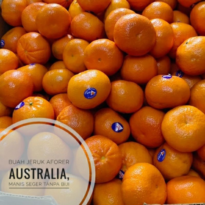 

BUAH JERUK MANDARIN AFORER AUSTRALIA 1 DUS
