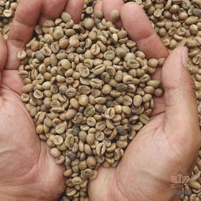 

NEW PRODUCT !! 8.8 Green Bean Robusta Temanggung 1 Kg Grade Asalan Super [KODE 69]
