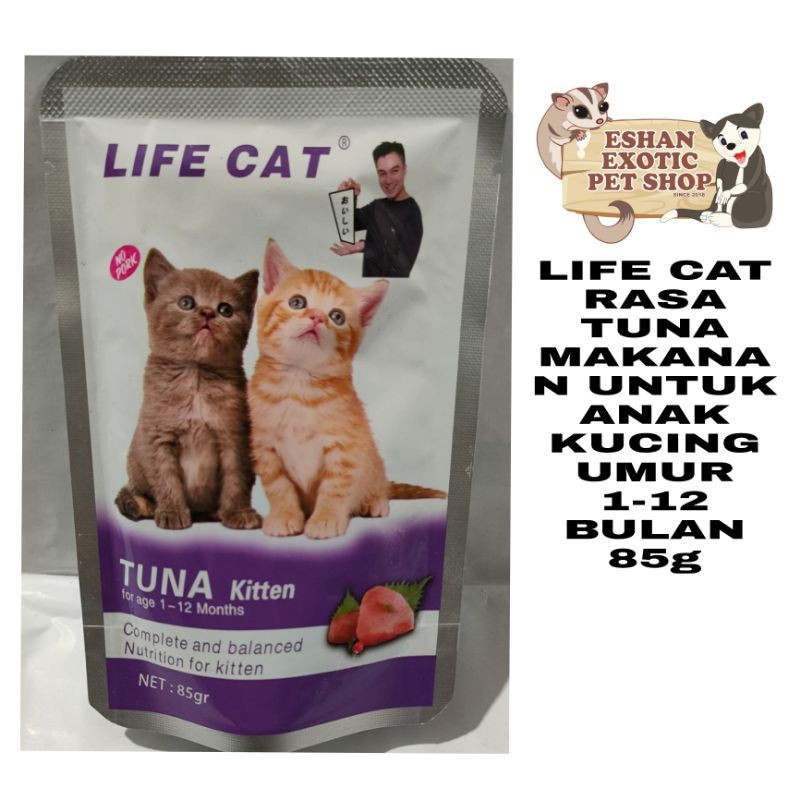 LIFE CAT KITTEN TUNA