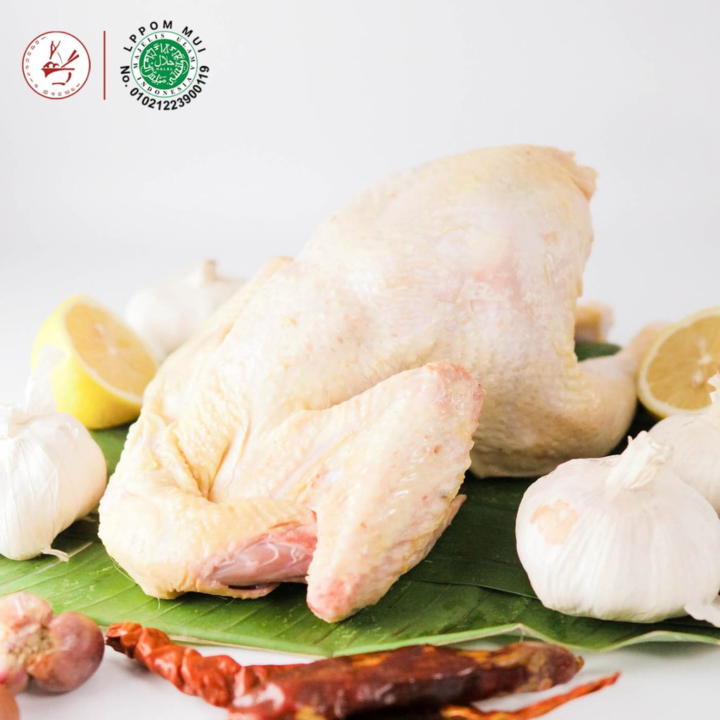 

Ayam Broiler Probiotik Besar - Karkas Halal