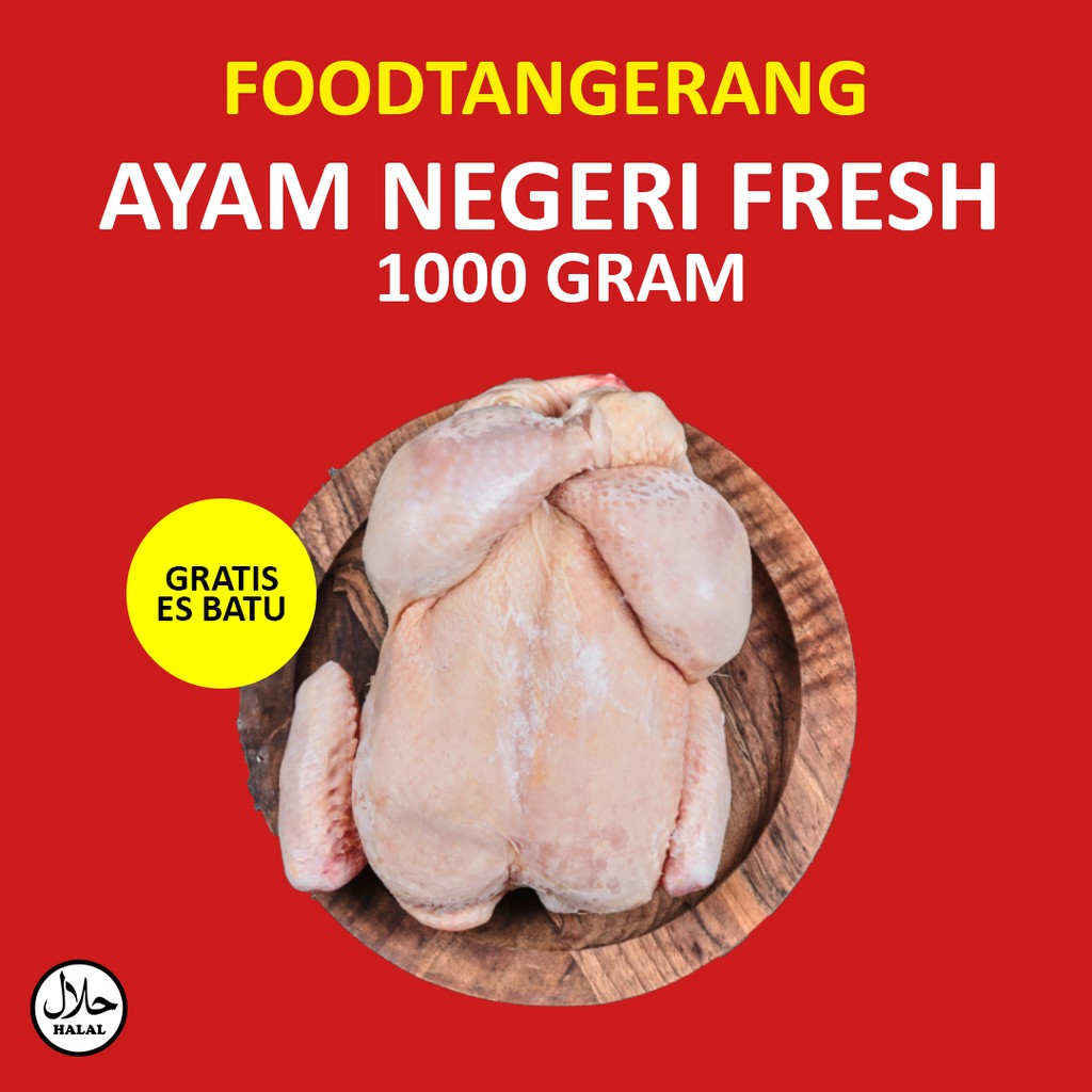 

Ayam Negeri Potong fresh Ukuran 1 KG berat Hidup segar