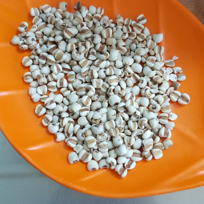 

Kalengbuah- Barley Import/Jali Jali/Ibi/Biji Jali -Buah-Kaleng.