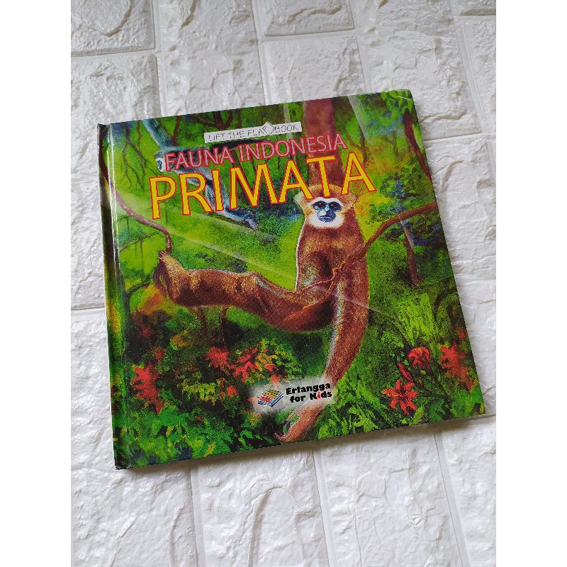 LIFT THE FLAP BOOK PRIMATA