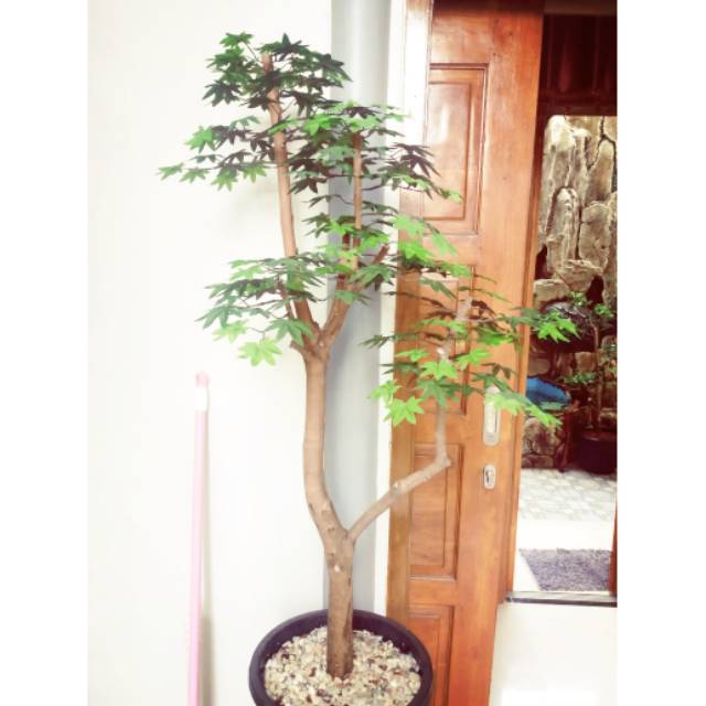 Bunga hias ruang tamu