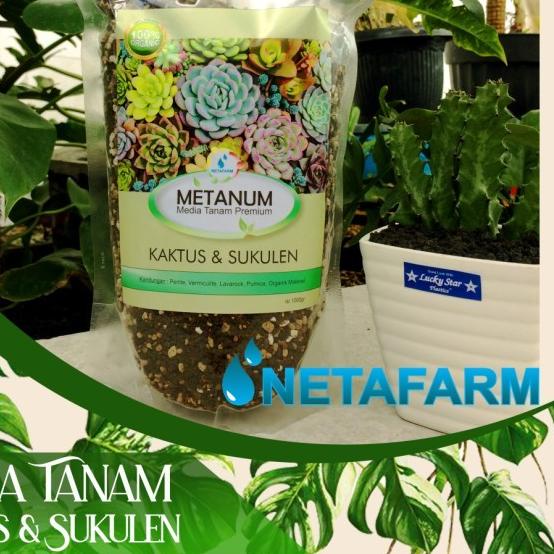 ⅍ Media Tanam Premium Kaktus / Sukulen - 1kg ♜