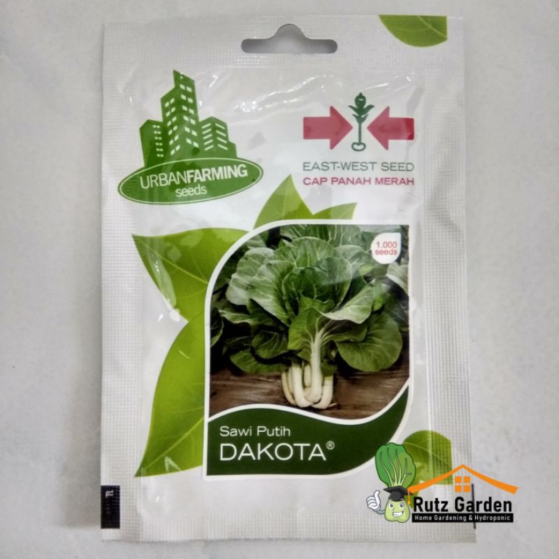 Benih Sawi Putih Dakota Cap Panah Merah