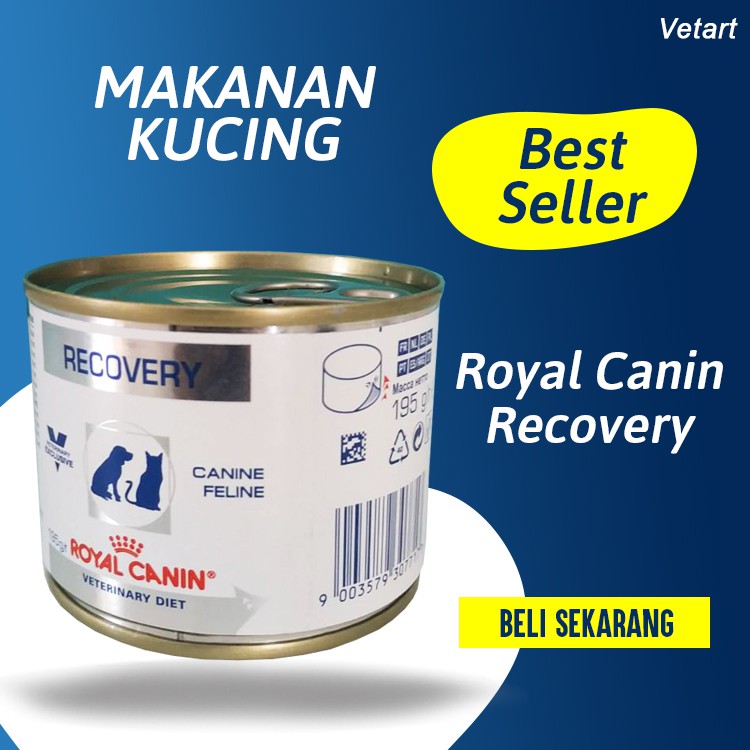 Royal Canin Recovery 185Gr - Makanan Kucing