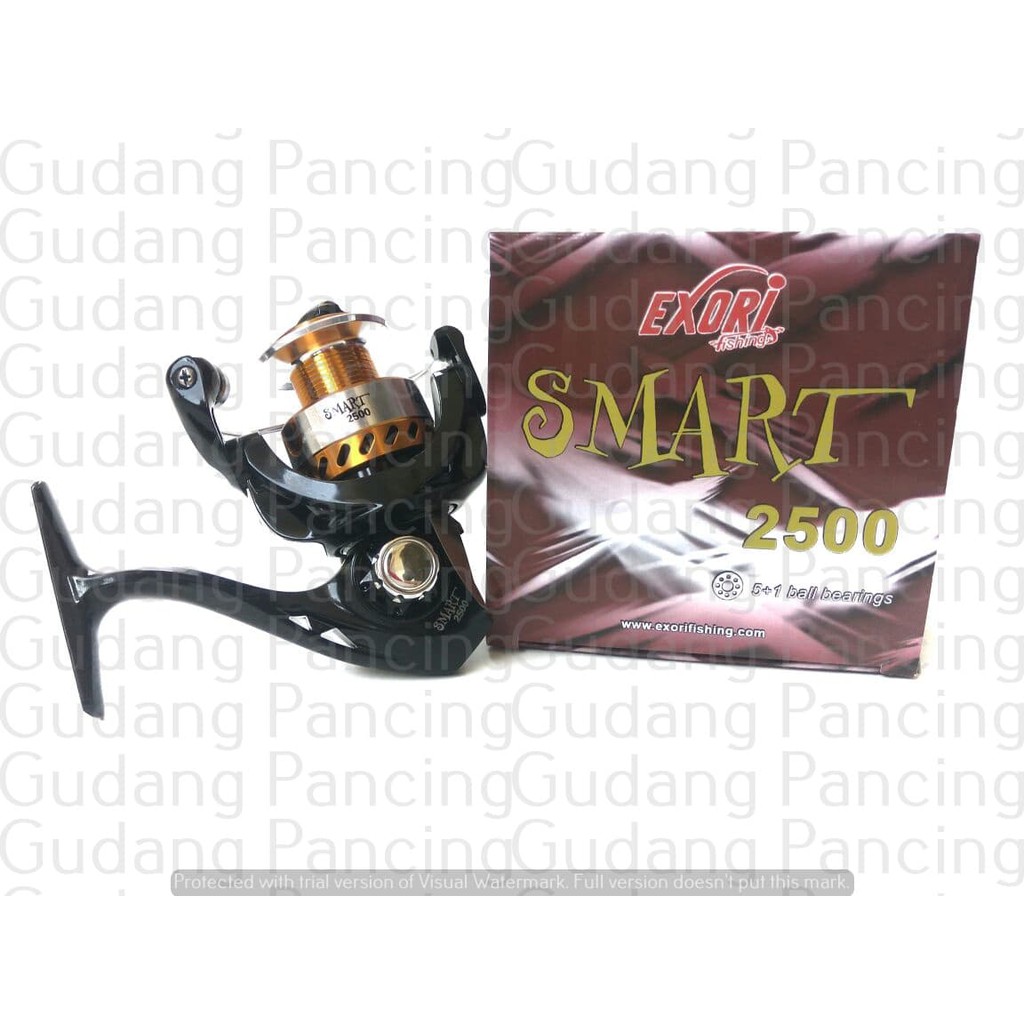 Reel Exori Smart 2500