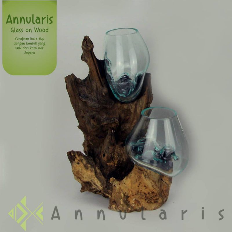 Aquarium Akar Kayu Isi 2, Aquarium Unik