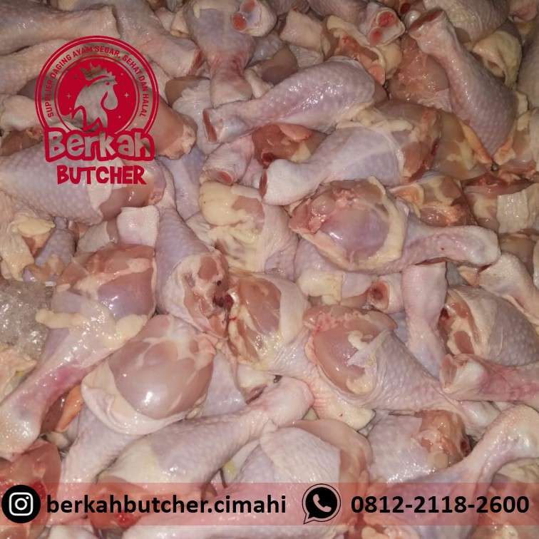 

Paha Ayam Bawah Segar - Berkas Butcher