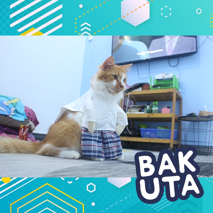 Kostum baju koko sarung kotak-kotak biru doll + Peci / baju koko kucing lebaran Terbaru size S-XL