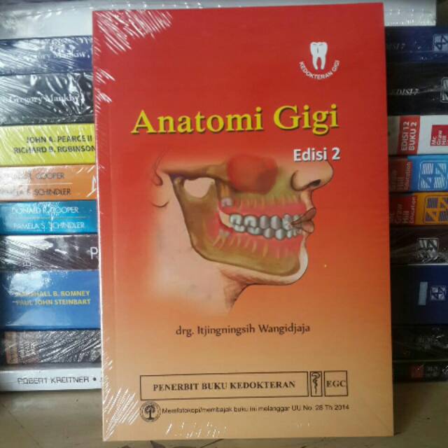 Anatomi gigi edisi 2 Itjingningsih