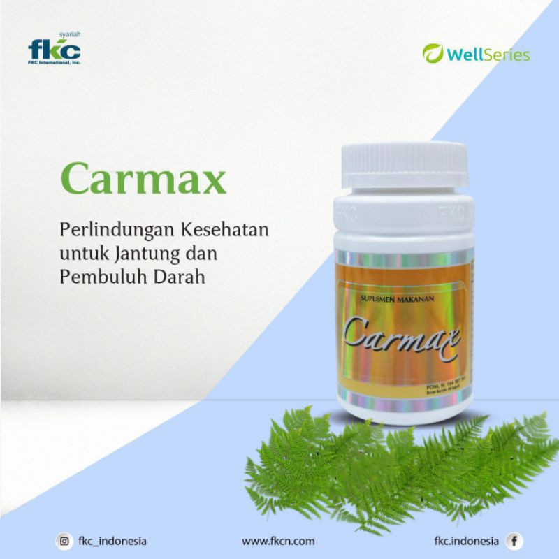 CARMAX Fkc (90 kapsul)
