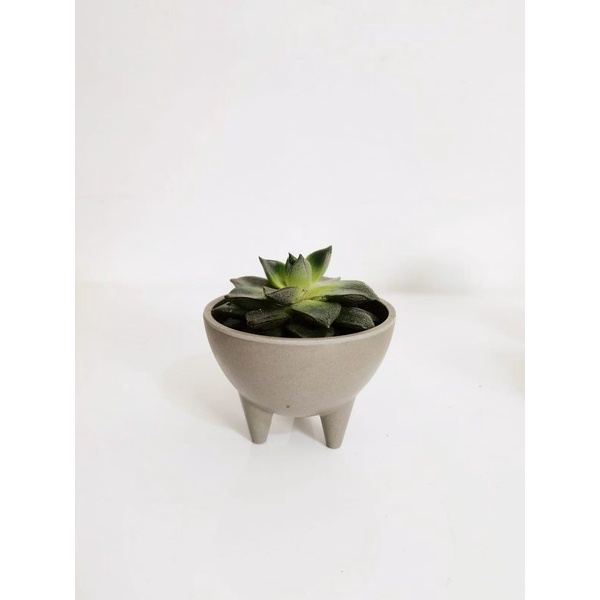 BSD-Wadah Pot Kidding Abu-Abu Tua 9cm