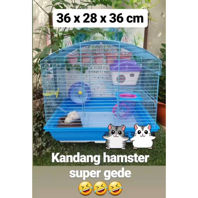 Kandang Hamster 2 Tingkat Besar Bonus Serutan Kayu Shopee Indonesia