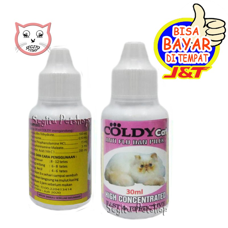 Obat Flu Kucing Pilek Bersin Bersin Coldy Indonesia