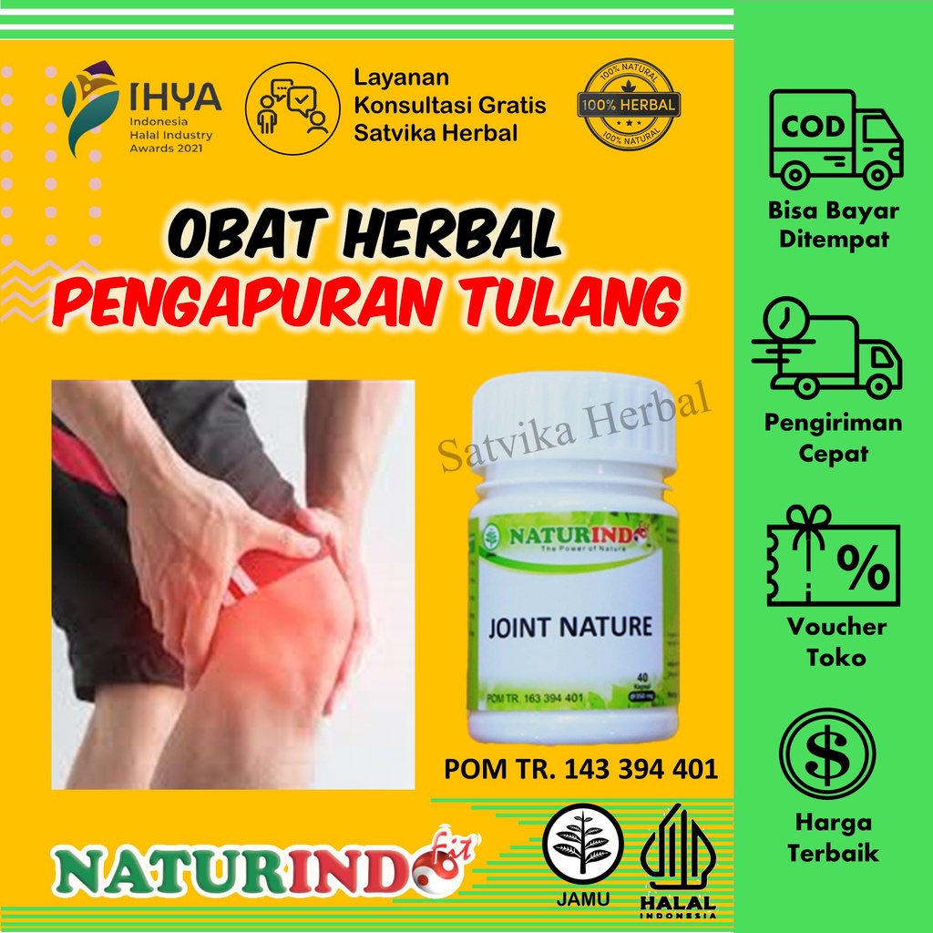 Jual Nyeri Sendi Pengapuran Tulang Radang Sendi Tulang Keropos Joint Nature Herbal Jahe Merah 6239