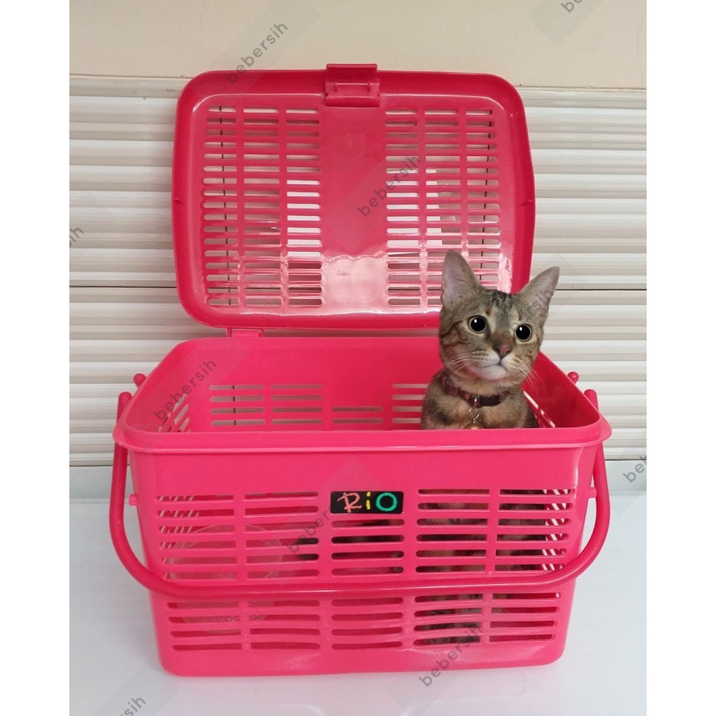 GOJEK ONLY MASPION PLASTIC KERANJANG KUCING SERBAGUNA RIO BESAR UKURAN L PET CARRIER