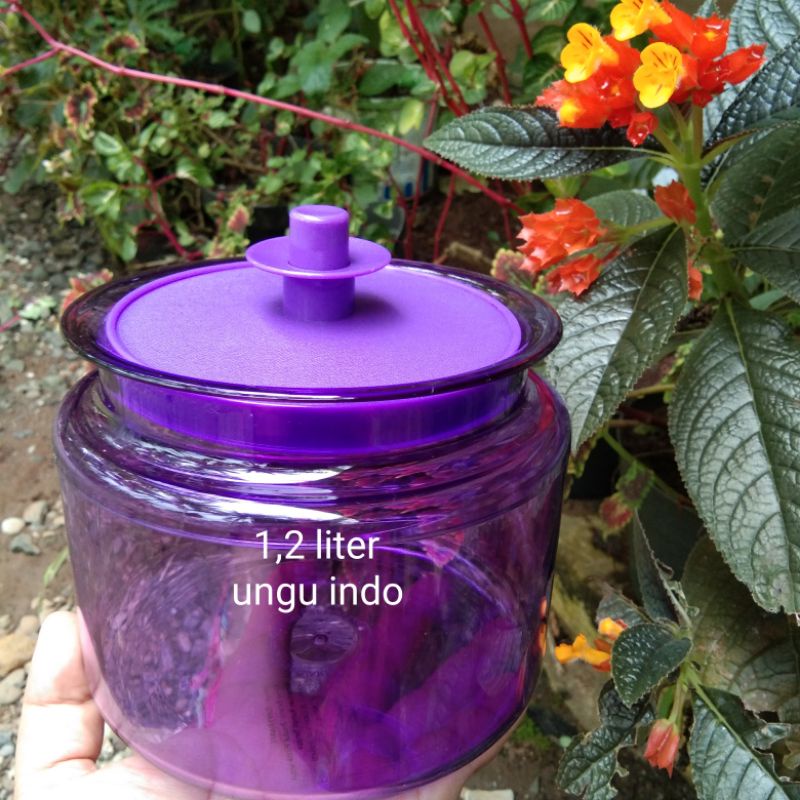 counterpart ungu 1,2