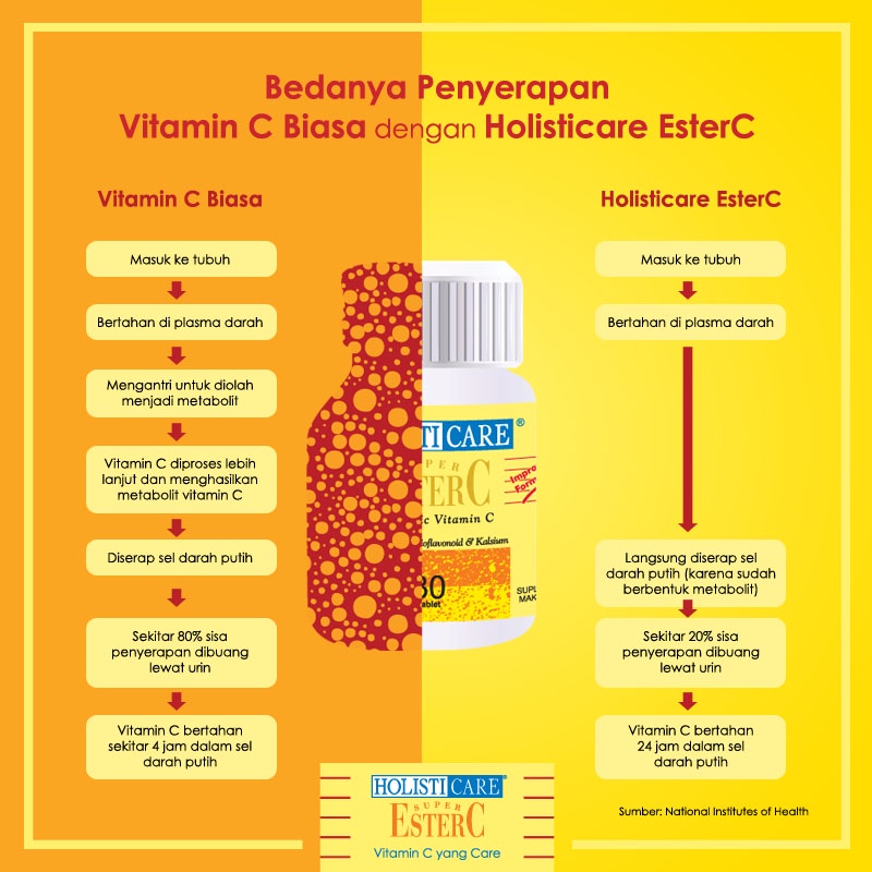 Holisticare ESTER C 30 Kapsul Multivitamin Dan Mineral ORIGINAL-BPOM