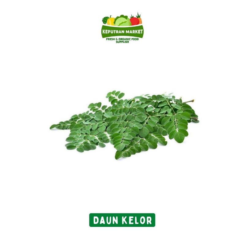 

Daun Kelor Per Ikat / Produk langka