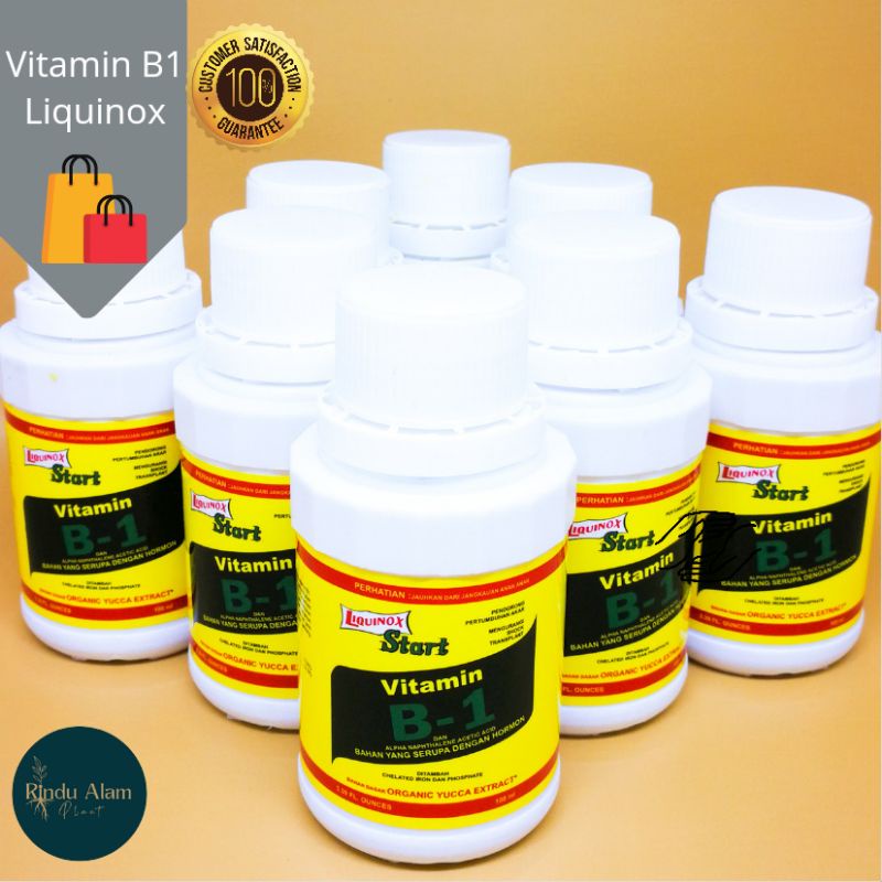 Jual Vitamin B1 Tanaman 100ml | Shopee Indonesia