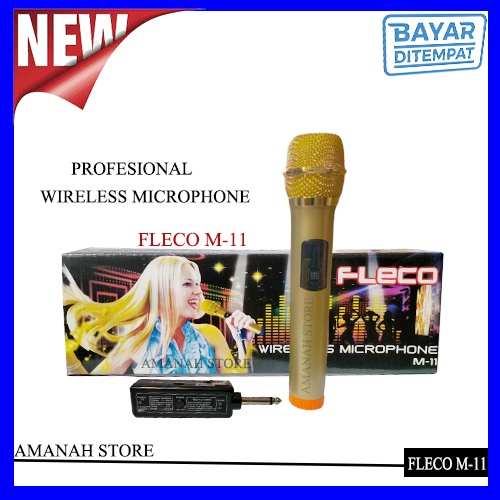 Microphone Profesional Wireless Mic Double FLECO M-11