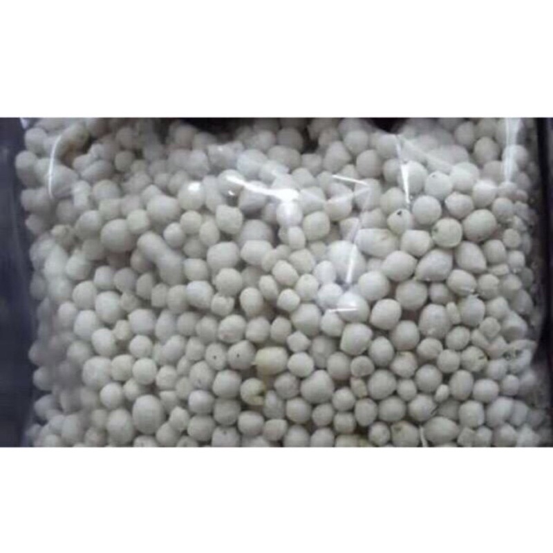 

Pilus Cikur